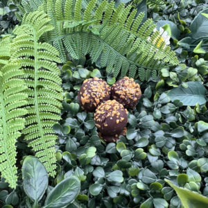 Trüffel & Pavés alkoholfrei 100 g