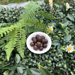 Knusprige Haselnuss-Köstlichkeiten