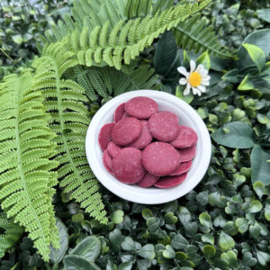 Pastilles Vegan Choc fruits à croquer 70 g