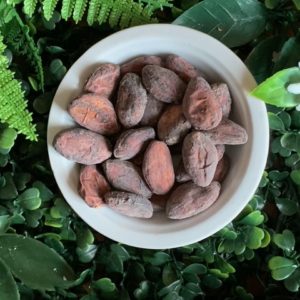 Fèves de cacao Sélection Felchlin 100 g