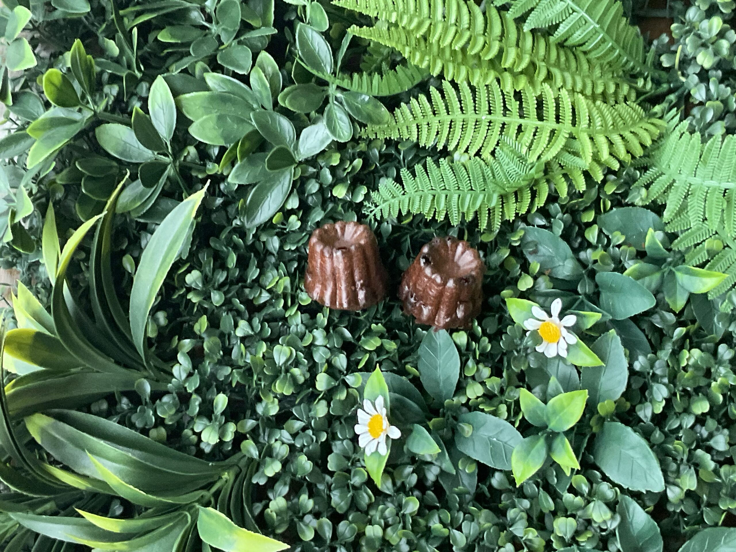 Schokoladen-Cannelés von Bordeaux